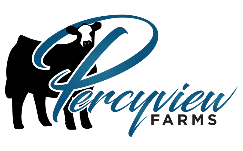 Show Cattle Logo Design Percyview Farms Logo Design by Ranch House Designs, Inc.  
